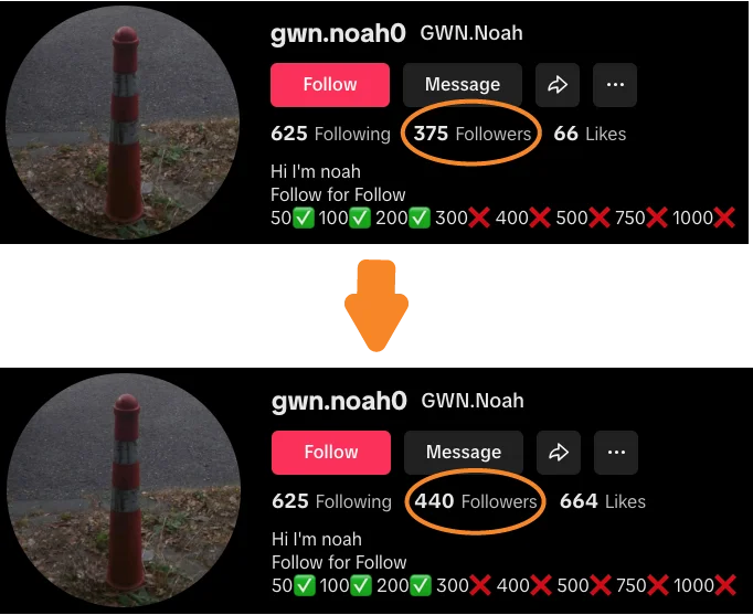 Buy-TikTok-Followers-BAM