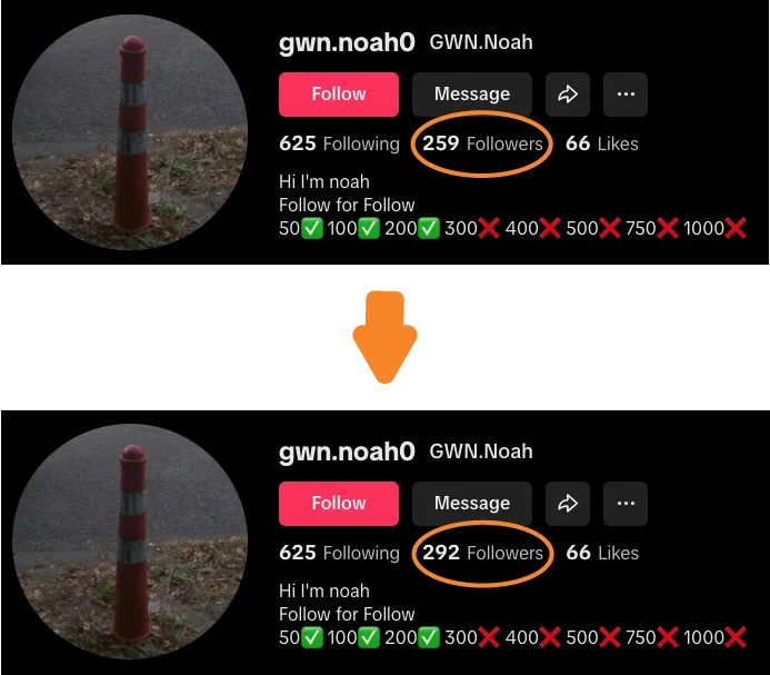 Free-TikTok-Followers-BAM