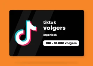 Organische-TikTok-Volgers