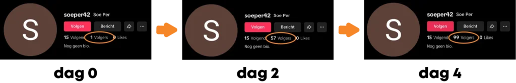 Organische-TikTok-volgers-voor-na