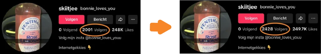 TikTok-volgers-voor-na